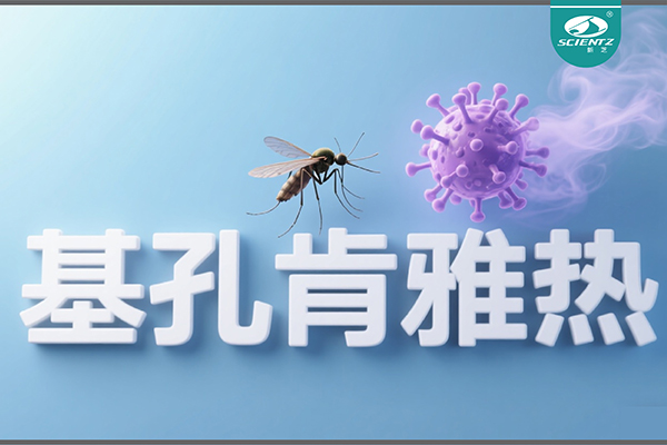 基孔肯雅熱疫情升級！新芝生物硬核技術助力病毒精準診斷